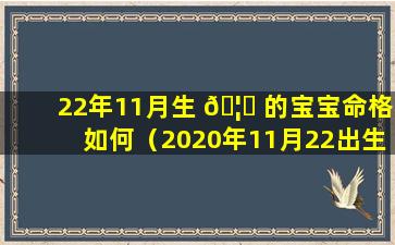 22年11月生 🦄 的宝宝命格如何（2020年11月22出生的宝宝的名字）